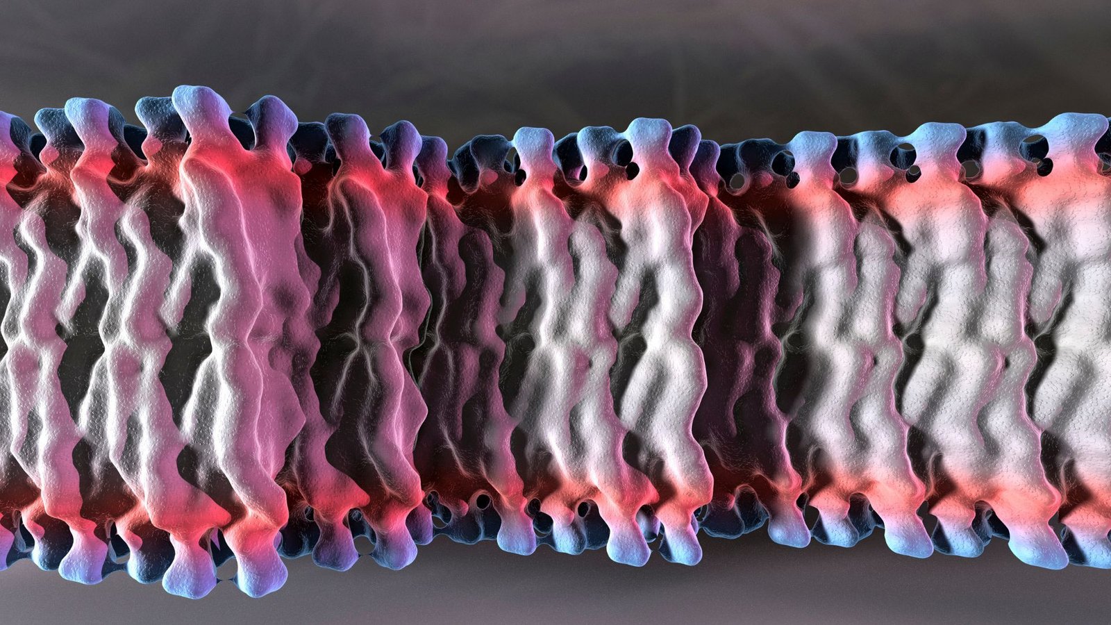 The Molecular Powerhouse Behind Nutrition and Pharma Innovation 2033